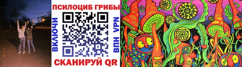 сколько стоит  Белорецк  Псилоцибиновые грибы прущие грибы 